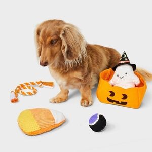 New Trick or Treat Dog Rope Plush Toy Set - 4pk - Boots & Barkley™